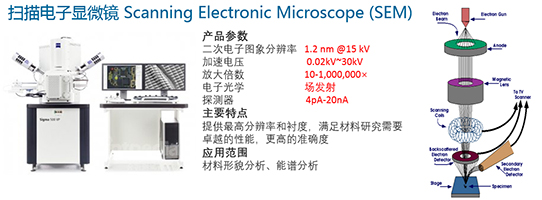 扫描电子显微镜 Scanning Electronic Microscope (SEM)